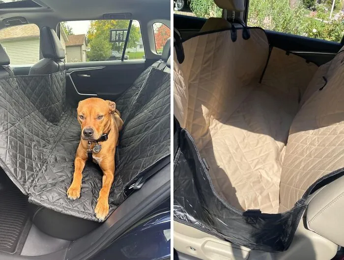 Paws & Protect: <span Style="Font:inherit;color:#d74b1f;"> The Ultimate Car Seat Hammock</Span>