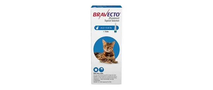 Bravecto Topical Solution for Cats