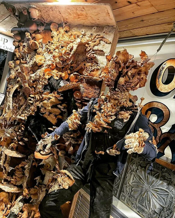 Local Bakery's Submission To This Year's Scarecrow Contest: The Last Of Crust!