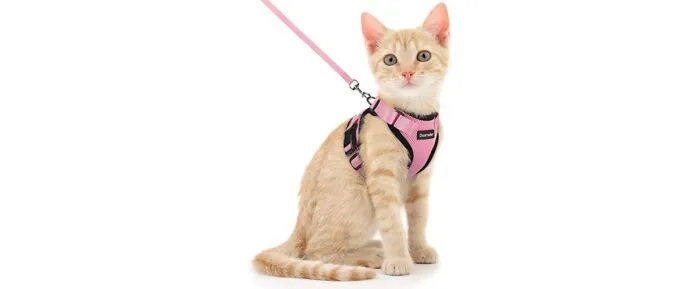 Dooradar Cat Harness and Leash Set