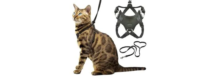 OutdoorBengal Houdini™ Cat Harness and Leash Set