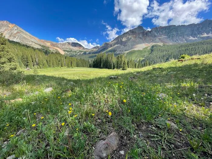 Mis amigos se casaron en este prado en Colorado hace 2 semanas