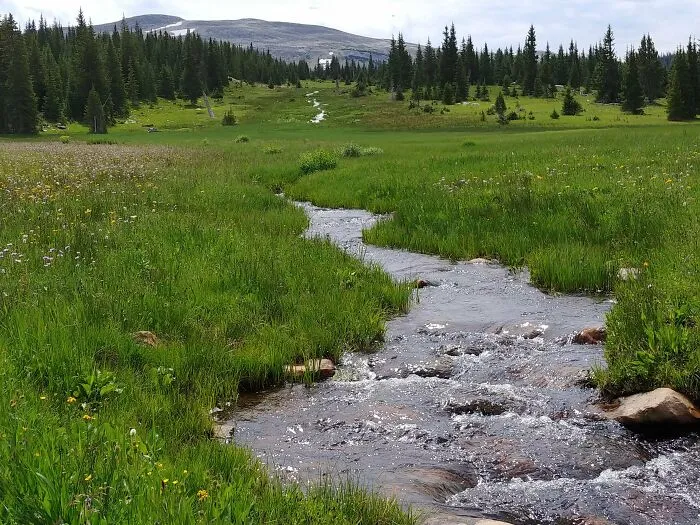 Medicine Bow Peak, WY