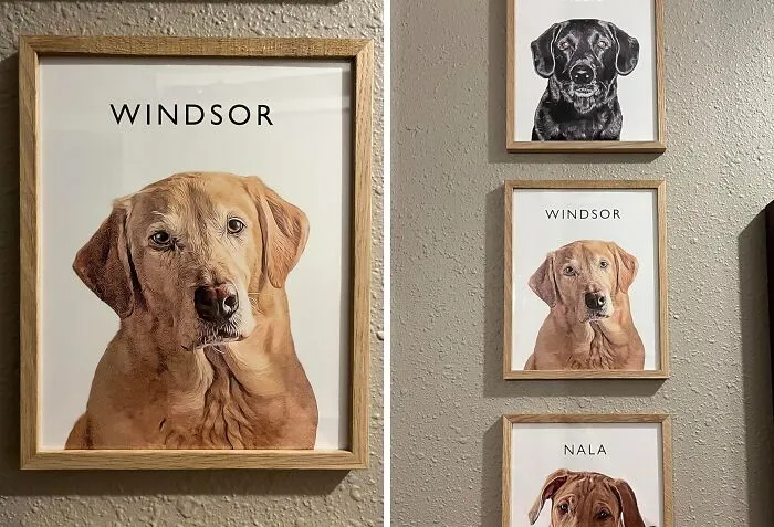 Paws & Reflect: <span Style="Font:inherit;color:#d74b1f;"> Custom Framed Pet Portraits</Span> For A Tail-Wagging Gallery!