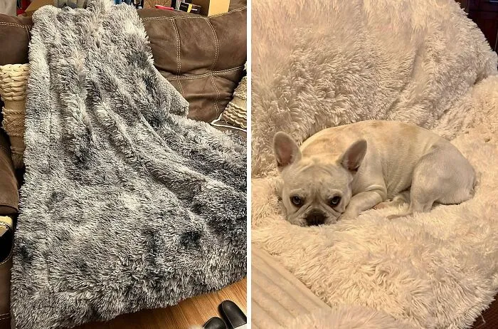 Experience Unmatched Comfort With <span Style="Font:inherit;color:#d74b1f;"> Ultra Soft Throw Blanket </Span> - Your Fuzzy, Fluffy, And Fabulous Home Essential