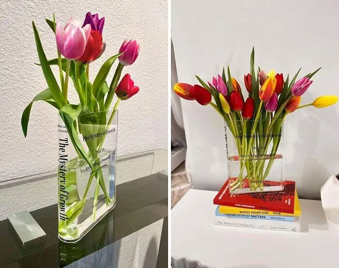 Make Your Guests Take A Second Look With This <span Style="Font:inherit;color:#d74b1f;"> Quirky Yet Trendy Bookend Vase</Span> – Because Why Should Vases Be Vase-Like?