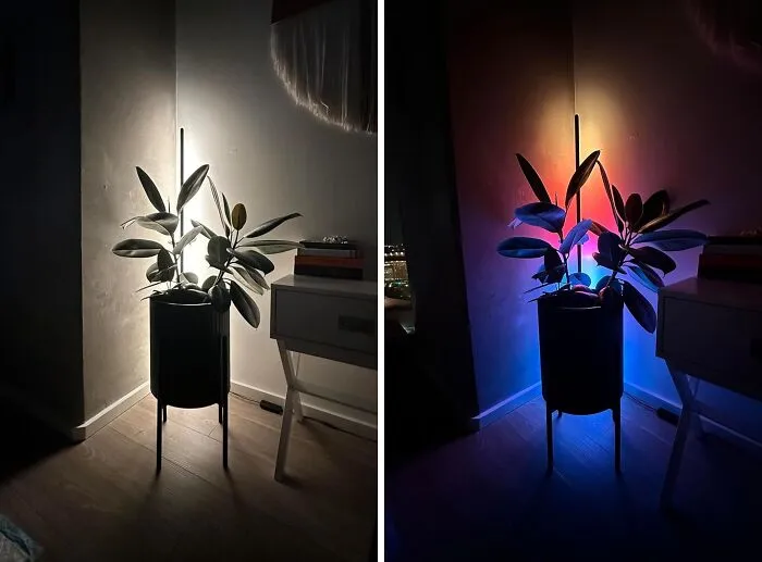Illuminate & Innovate With Alexa-Compatible <a Style="Display:inline;" Href="Https://Www.amazon.com/Dp/B099wtn2tr?ascsubtag=7631632%2c9%2c28%2cd%2c0%2c0%2cbf-Web-Hf%2c900%3a2%3b974%3a2%3b1125%3a1%2c43979193%2c0%2c0%2c0&th=1&linkcode=ll1&tag=bphawk-20&linkid=b084cf878168c272f3c153010a3297de&language=en_us&ref_=as_li_ss_tl" Target="_blank"><span Style="Font:inherit;color:#d74b1f;"> LED Corner Lamp</Span> : Speak, And It Shines