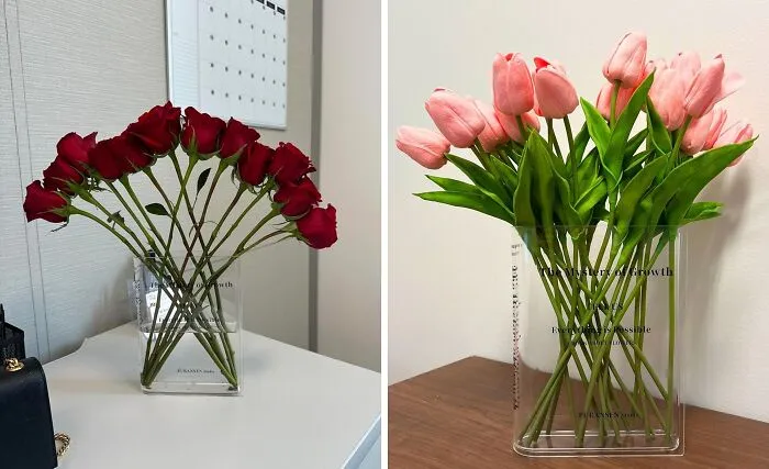 Books & Blooms Unite: This <a Style="Display:inline;" Href="Https://Www.amazon.com/Acrylic-Aesthetic-Artistic-Decorations-Centerpieces/Dp/B099pqb6tz?pd_rd_w=3vpra&content-ID=amzn1.sym.97029878-Ffe8-40c6-A635-3D46f5b615a7&pf_rd_p=97029878-Ffe8-40c6-A635-3D46f5b615a7&pf_rd_r=kjzyedqs4n0gdq07x7hw&pd_rd_wg=3a6s5&pd_rd_r=ce3b7cf5-A95d-4e71-A17a-Dcec17bcd2ba&pd_rd_i=b099pqb6tz&th=1&linkcode=ll1&tag=bphawk-20&linkid=7d68af4405cc3ea16e89de794b0bcbad&language=en_us&ref_=as_li_ss_tl" Target="_blank"><span Style="Font:inherit;color:#d74b1f;"> Bookend Vase</Span> Sweetens Your Shelf Space!