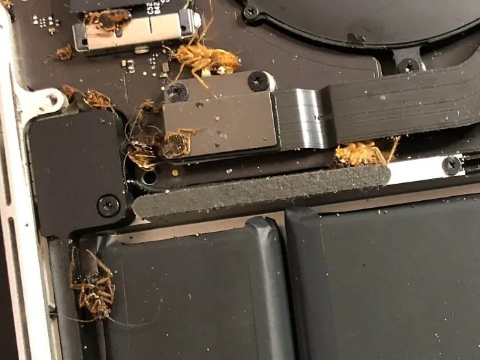 This Customer Came In Today And Said “My Computer Doesn’t Turn On”.. Maybe Because It’s Infested With Roaches?!
