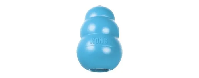 Kong Puppy Teething Rubber Toy