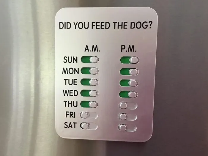 Stay On Top Of Your Pet's Feeding Schedule With A <span Style="Font:inherit;color:#d74b1f;"> Dog Feeding Reminder</Span>