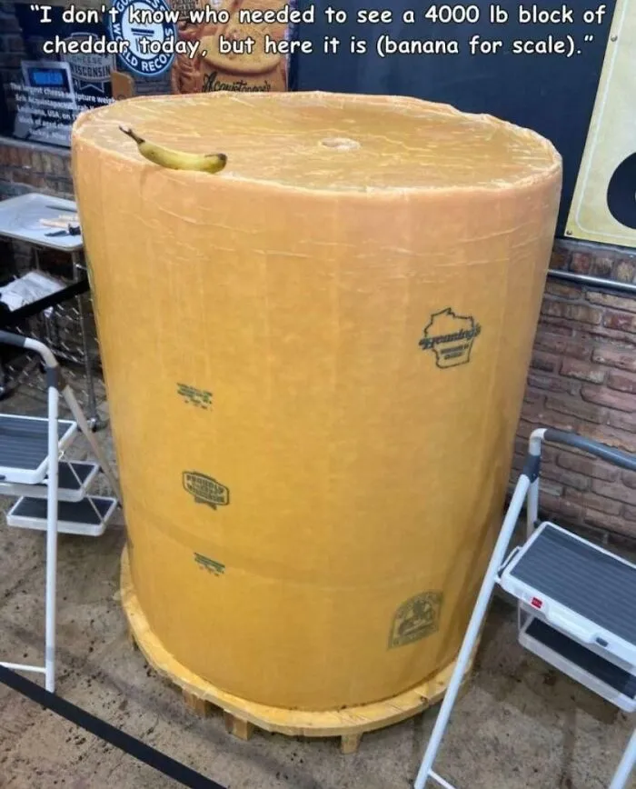 This Cheese