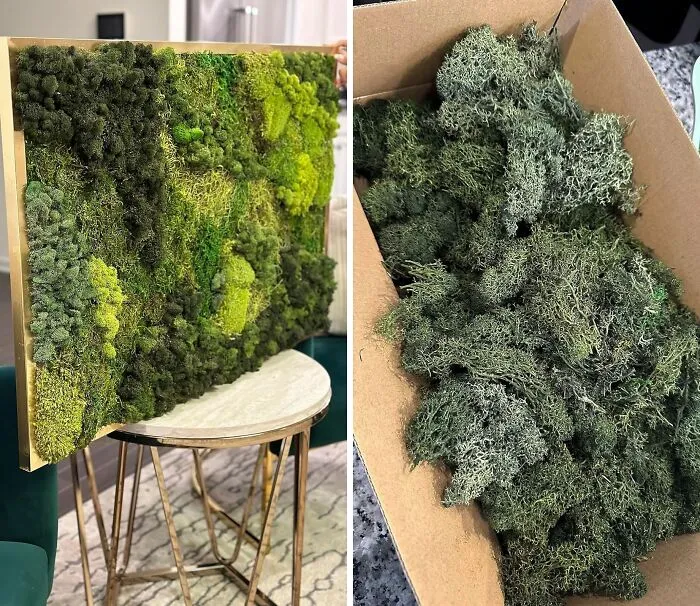 Add A Touch Of Nature To Your Home Decor: <span Style="Font:inherit;color:#d74b1f;"> Preserved Reindeer Craft Moss DIY Kit </Span> In Olive Green