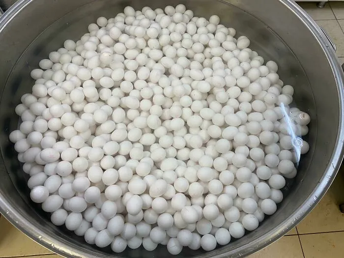 Absolute Unit Of A Pot To Boil 1,200 Eggs At Once