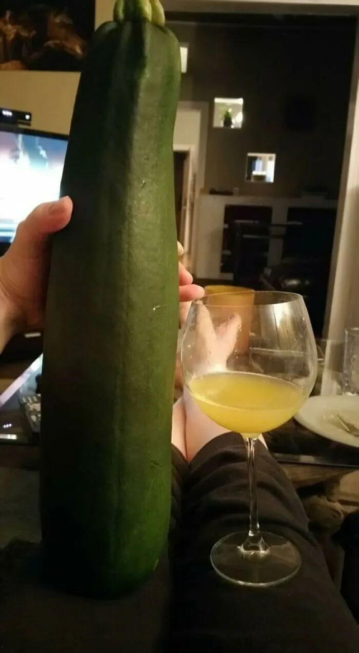 This Zucc My Wife Was Given