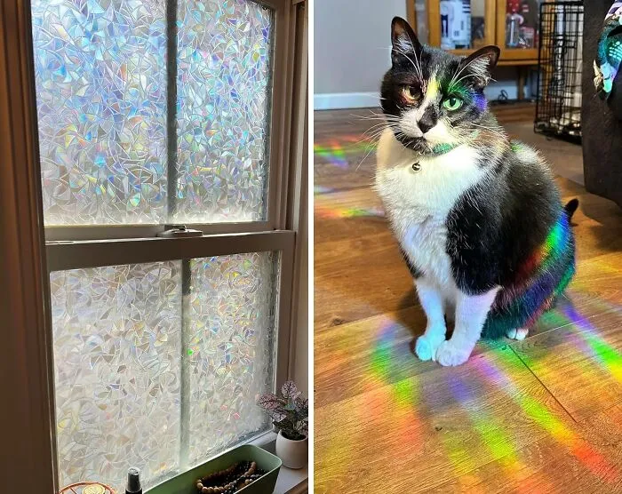 Bring Colorful Vibe To Your Windows: <span Style="Font:inherit;color:#d74b1f;"> Rainbow Window Privacy Film </Span> For A Striking 3D Decorative Effect And UV Protection
