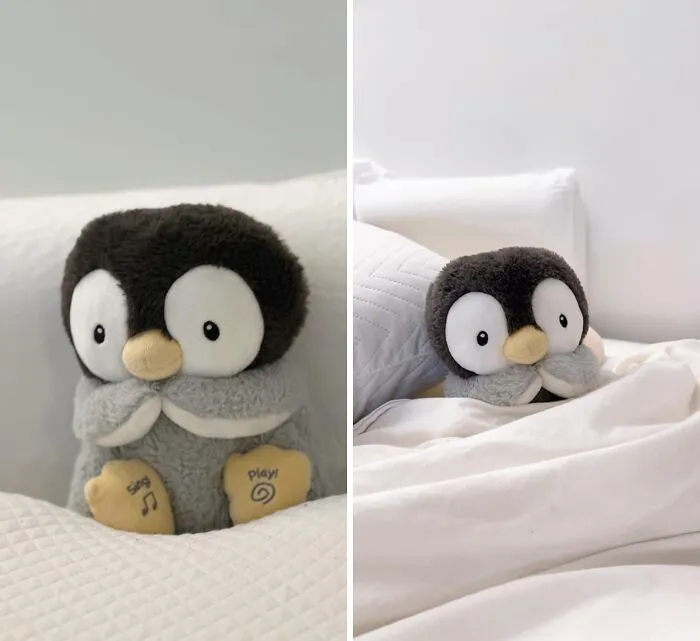 Flipper Tunes:<span Style="Font:inherit;color:#d74b1f;"> Kissy The Penguin’s Heartfelt Harmonies</Span>
