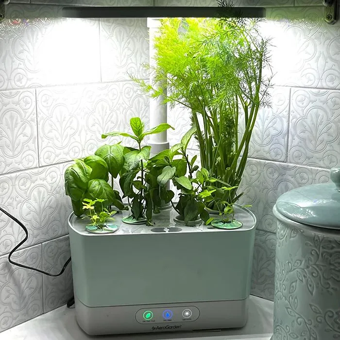 Spice Up Your Space: <span Style="Font:inherit;color:#d74b1f;"> Aerogarden Harvest</Span> For Fresh Herbs Year-Round!