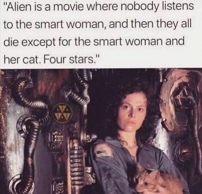 ⭐️⭐️⭐️⭐️