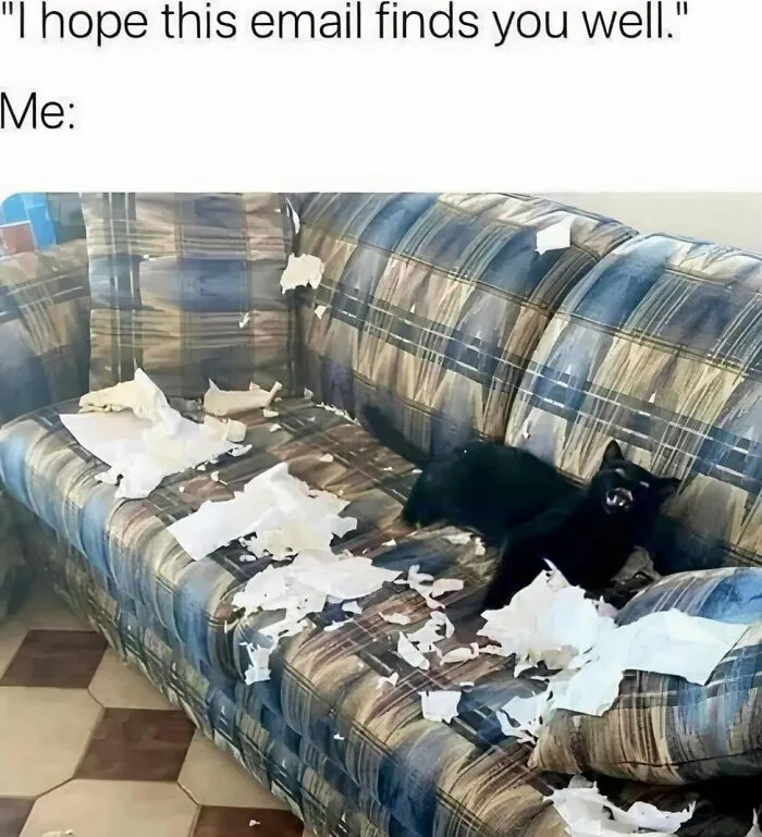 No Explanation Needed
