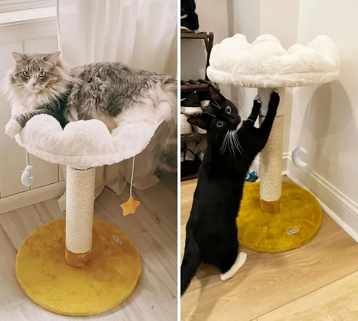 Cloud-Shaped <span Style="Font:inherit;color:#d74b1f;"> Cat Tree Tower </Span> With Bed And Perch For A Purrfect Kitty Nap & Fun!