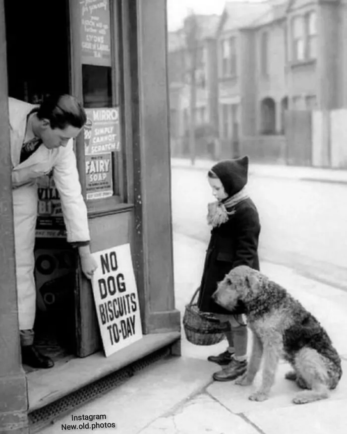 “ No Dog Biscuits Today ”, London , 1939

facebook " Group " 
vintage / History Of Everything & Nature

.
.
.

#dog #1939 #doglover #dogs #london🇬🇧 #nottoday #dogslover #kids #child