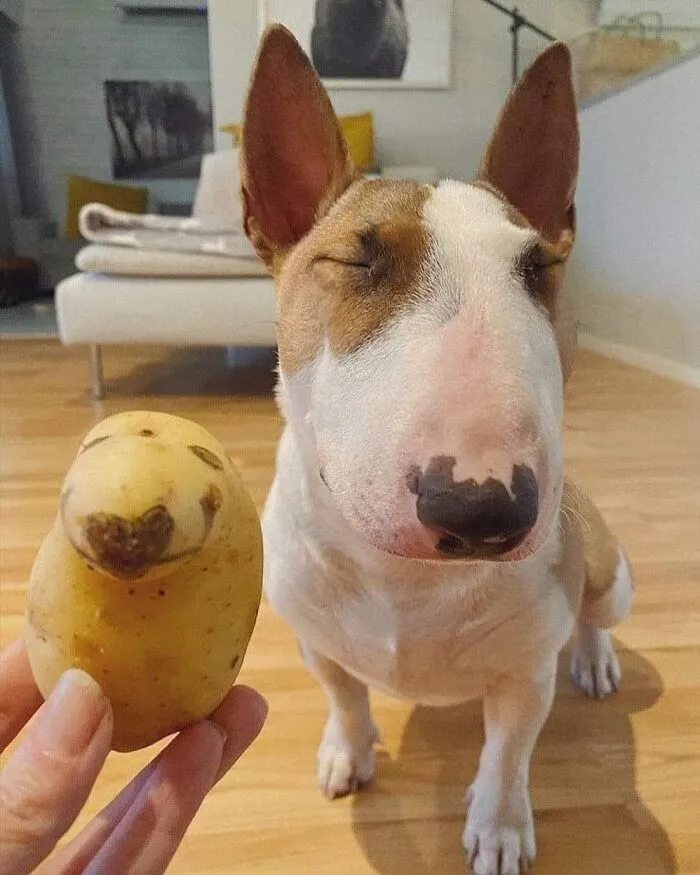 20 Memes para tomarte un respiro y echarte unas risas