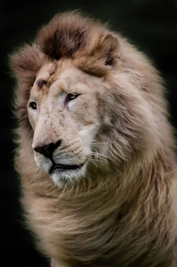 30 Unforgettable Animal Moments Captured Through My Lens