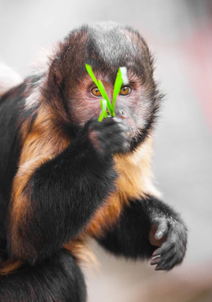 30 Unforgettable Animal Moments Captured Through My Lens