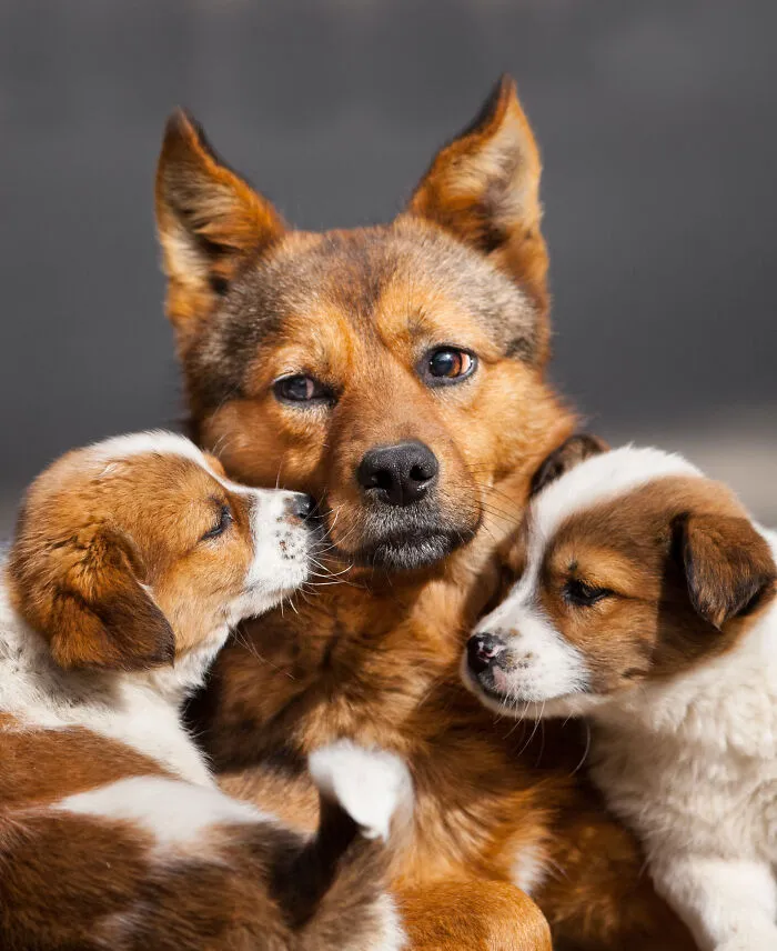 30 Unforgettable Animal Moments Captured Through My Lens