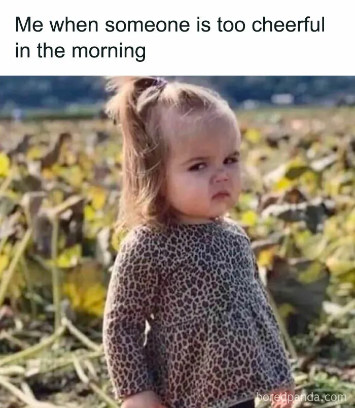 50 Hilarious Memes To Look At While You’re Supposed To Be Working (New Pics)
