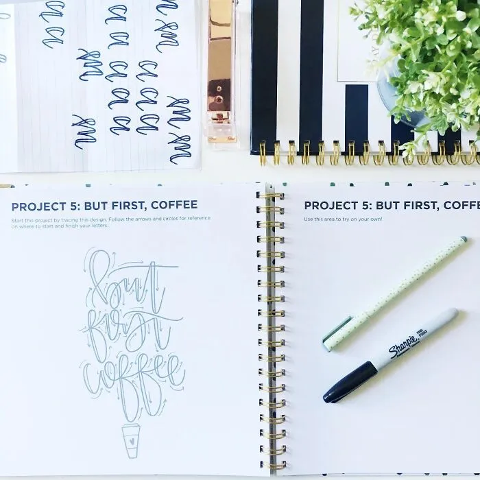 Penmanship Perfection: <a Style="Display:inline;" Href="Https://Www.amazon.com/Dp/1944515658?ascsubtag=7591808%2c14%2c28%2cd%2c0%2c0%2c0%2c900%3a2%3b974%3a2%3b1125%3a1%2c42074408%2c0%2c0%2c0&linkcode=ll1&tag=bphorse-20&linkid=14fb6fcdb3c3fac88b8fbf42dec04e2b&language=en_us&ref_=as_li_ss_tl" Target="_blank"><span Style="Font:inherit;color:#d74b1f;"> Hand Lettering 101</Span> Turns You Into A Calligraphy Pro