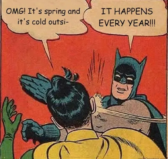 37 Funny Memes To Welcome Spring With All Its Joys And Flaws