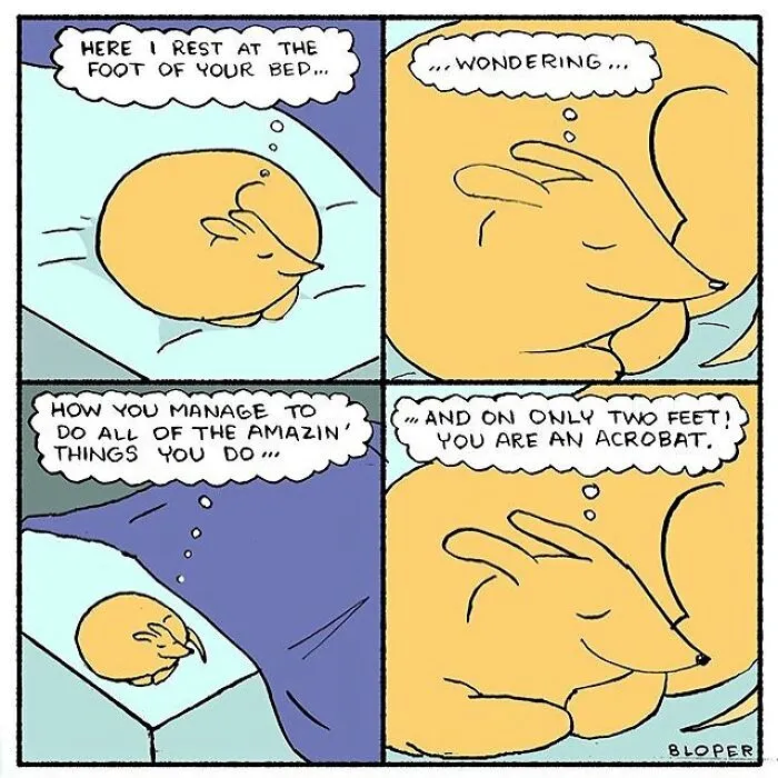 24 Amusing Comic Strips To Brighten Your Day By Brendan Loper