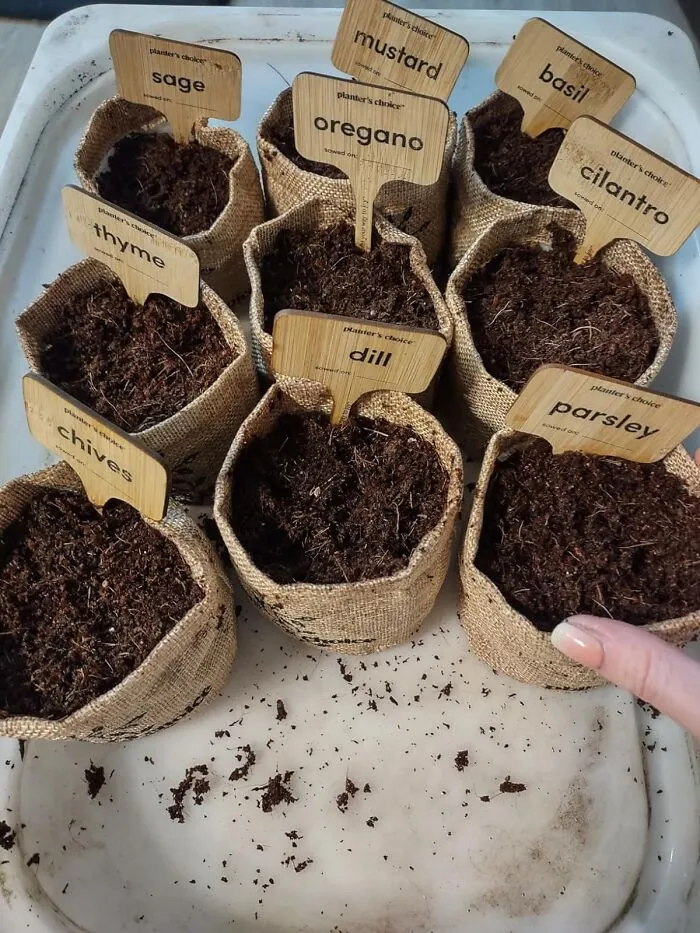 Sprout Your Own Flavor: <span Style="Font:inherit;color:#d74b1f;"> 9 Herb Indoor Window Garden Kit</Span> Grows Freshness!