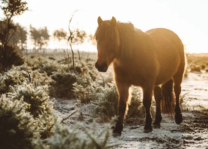31 People Confess Things They Didn't Know Until Embarrassingly Late In Life