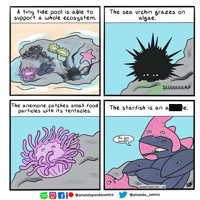 30 Hilarious Comics Depicting Ordinary Situations With A Chaotic Twist By Artist Amanda Panda
