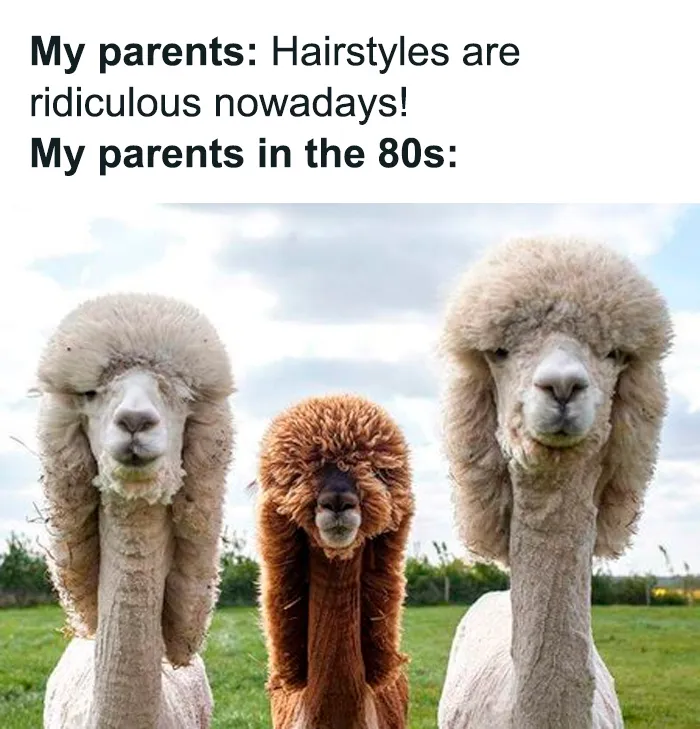 50 Memes To Remind You How Good Life Once Was, As Shared On This Page