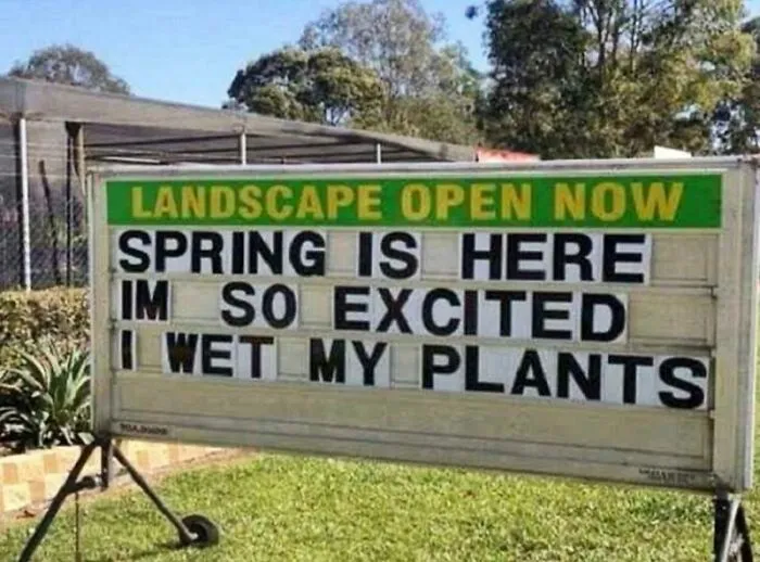 37 Funny Memes To Welcome Spring With All Its Joys And Flaws