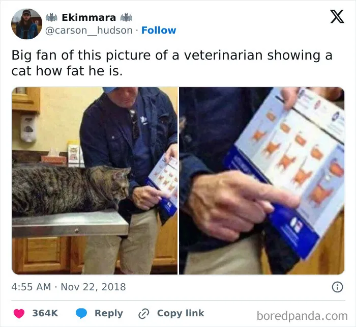 A Chonky Boy
