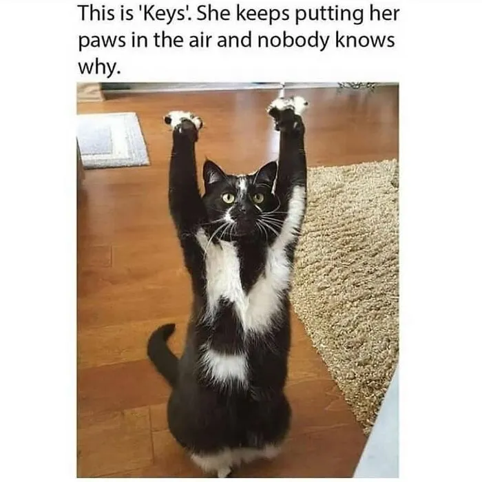 Maybe She Wants To Be Picked Up?