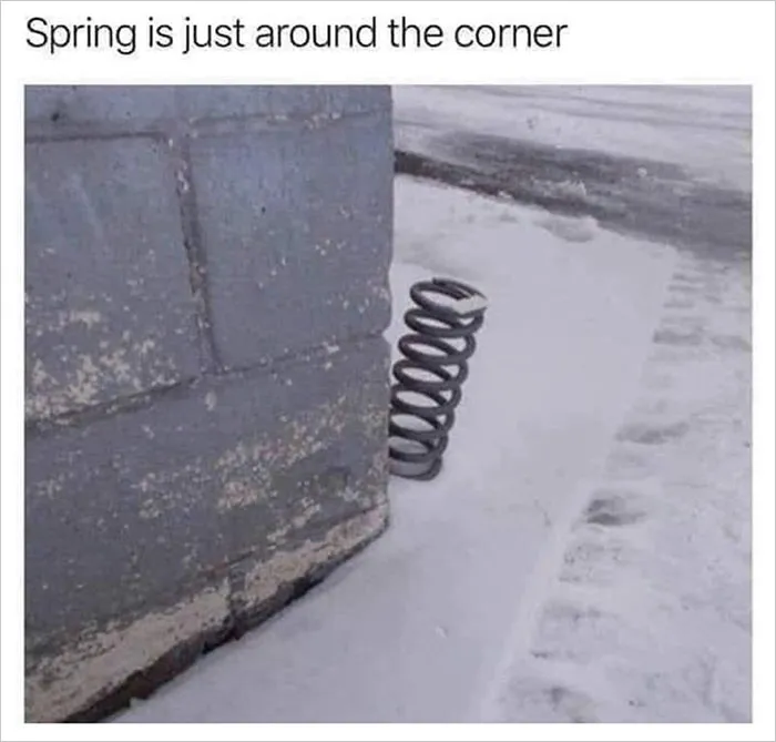 37 Funny Memes To Welcome Spring With All Its Joys And Flaws