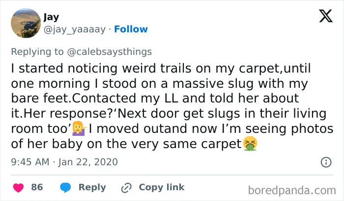 People Are Sharing The Worst And Weirdest Renting Experiences In 40 Tweets