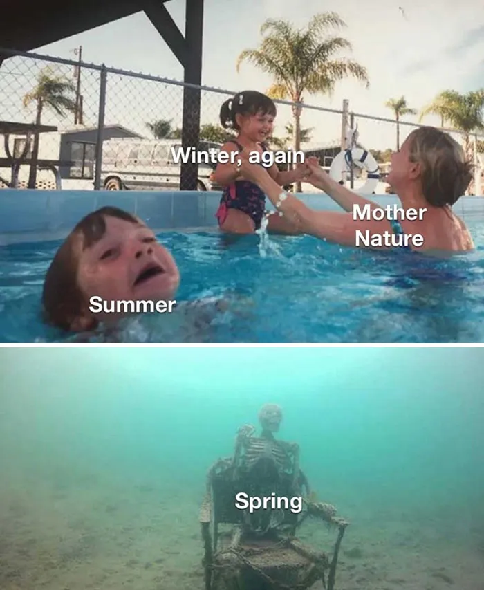 Funny meme illustrating spring's challenges with a skeleton underwater labeled "Spring" and a family in a pool labeled "Summer."