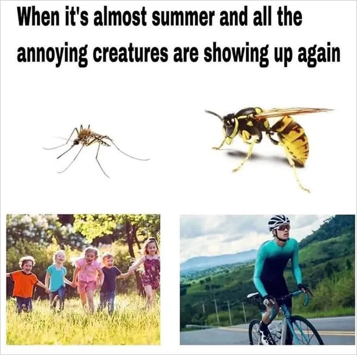 37 Funny Memes To Welcome Spring With All Its Joys And Flaws