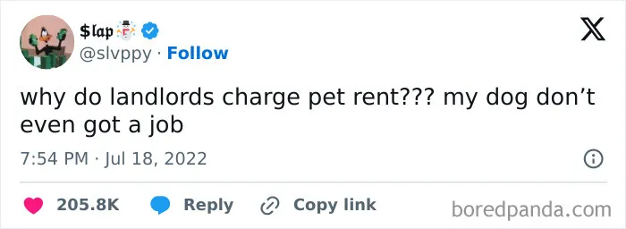 People Are Sharing The Worst And Weirdest Renting Experiences In 40 Tweets