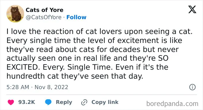 50 Of The Funniest And Most Relatable Cat Memes Shared By This IG Page