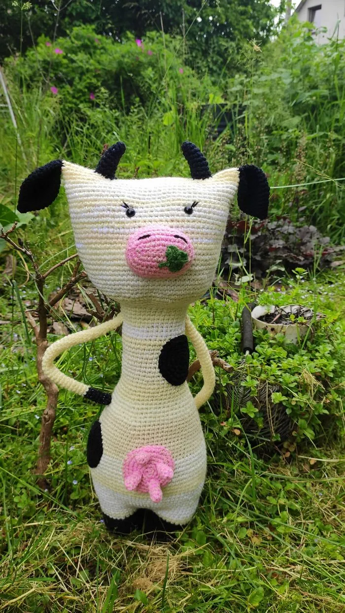 Cow