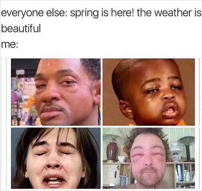 37 Funny Memes To Welcome Spring With All Its Joys And Flaws