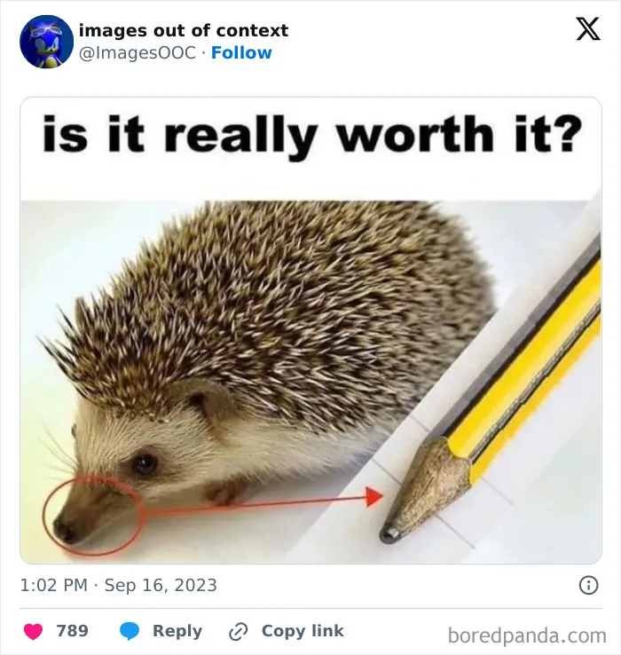 40 Of The Funniest Posts From “Images Out Of Context” Page